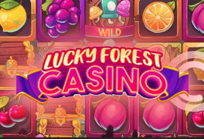 Secure gaming on the X2 Casino App Download: Mobile Gaming Guide.